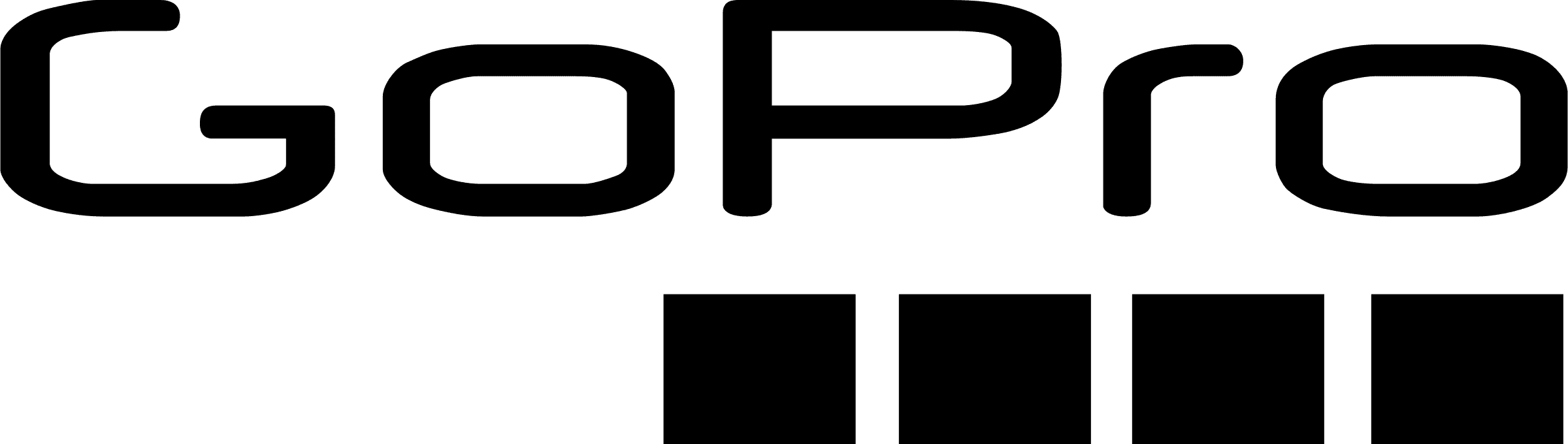 GoPro
